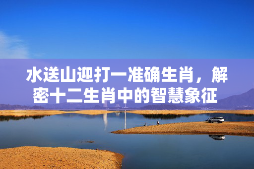 水送山迎打一准确生肖，解密十二生肖中的智慧象征 水送山迎打一准确生肖