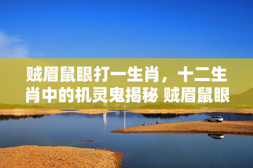 贼眉鼠眼打一生肖，十二生肖中的机灵鬼揭秘 贼眉鼠眼打一生肖