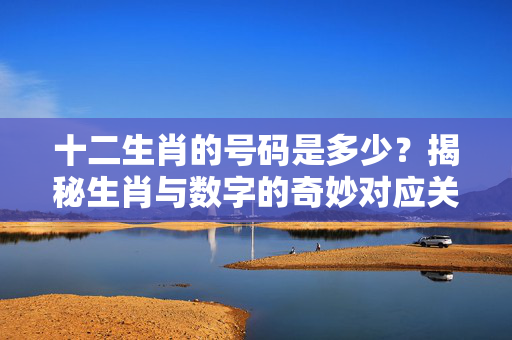 十二生肖的号码是多少？揭秘生肖与数字的奇妙对应关系 十二生肖的号码是多少