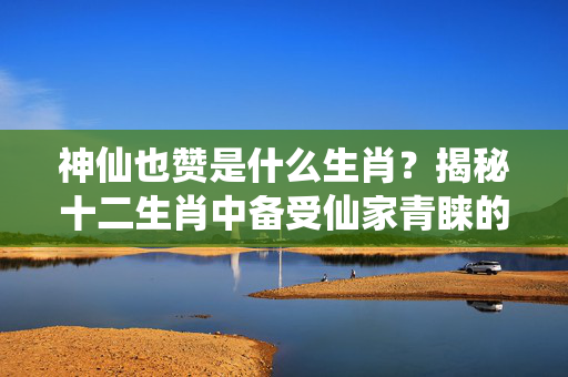 神仙也赞是什么生肖？揭秘十二生肖中备受仙家青睐的属相 神仙也赞是什么生肖