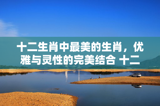 十二生肖中最美的生肖，优雅与灵性的完美结合 十二生肖最美的生肖