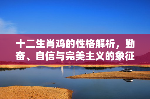 十二生肖鸡的性格解析，勤奋、自信与完美主义的象征 十二生肖鸡的性格