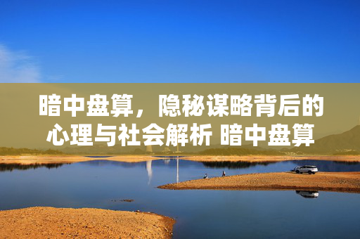 暗中盘算，隐秘谋略背后的心理与社会解析 暗中盘算什么意思
