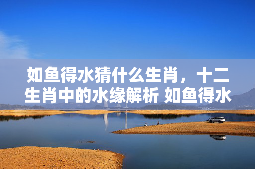 如鱼得水猜什么生肖，十二生肖中的水缘解析 如鱼得水猜什么生肖