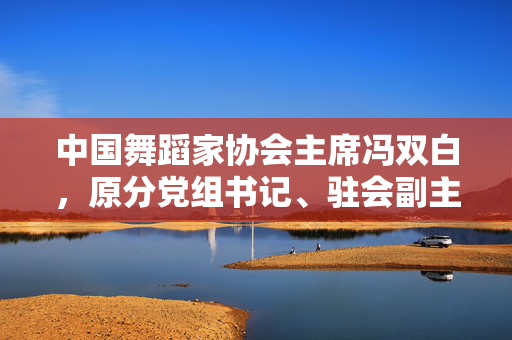 中国舞蹈家协会主席冯双白，原分党组书记、驻会副主席罗斌被查
