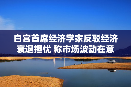 白宫首席经济学家反驳经济衰退担忧 称市场波动在意料之中