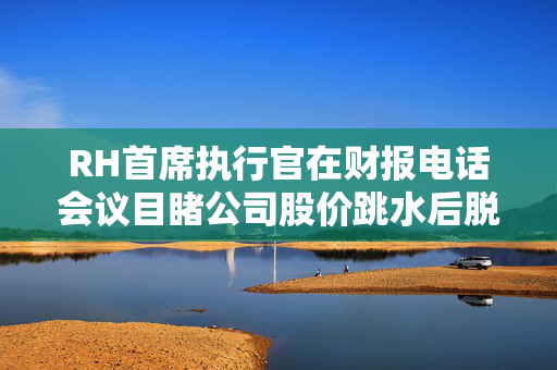 RH首席执行官在财报电话会议目睹公司股价跳水后脱口而出“哦，糟了……”