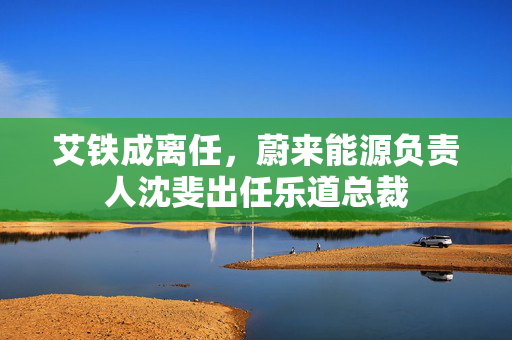 艾铁成离任，蔚来能源负责人沈斐出任乐道总裁
