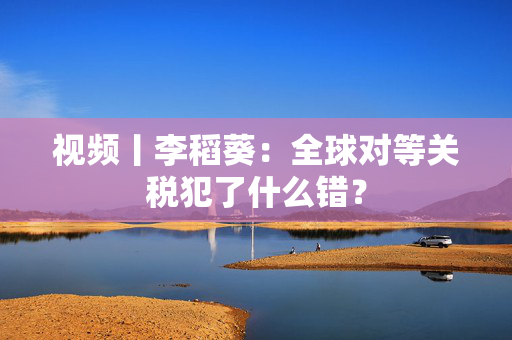 视频丨李稻葵：全球对等关税犯了什么错？