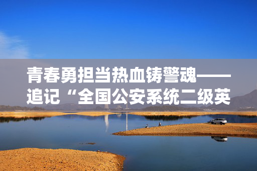 青春勇担当热血铸警魂——追记“全国公安系统二级英雄模范”武霖