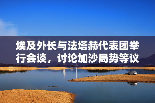 埃及外长与法塔赫代表团举行会谈，讨论加沙局势等议题