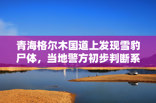 青海格尔木国道上发现雪豹尸体，当地警方初步判断系遭车辆撞击