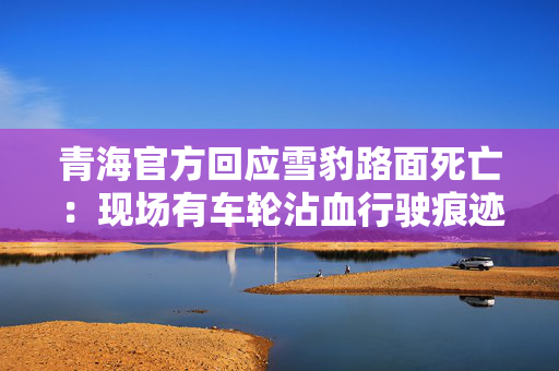 青海官方回应雪豹路面死亡：现场有车轮沾血行驶痕迹