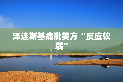 泽连斯基痛批美方“反应软弱”