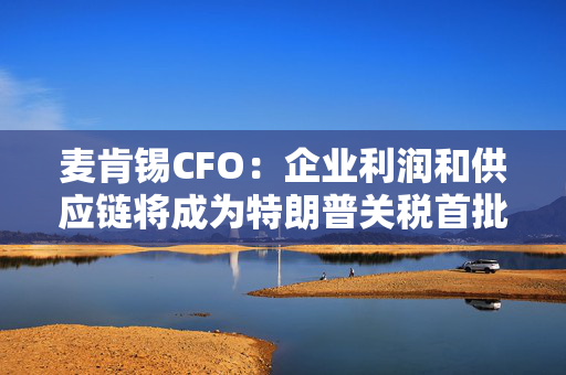 麦肯锡CFO：企业利润和供应链将成为特朗普关税首批牺牲品