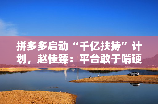 拼多多启动“千亿扶持”计划，赵佳臻：平台敢于啃硬骨头