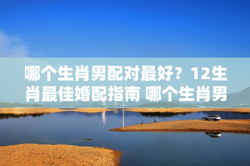 哪个生肖男配对最好？12生肖最佳婚配指南 哪个生肖男配对最好