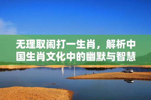 无理取闹打一生肖，解析中国生肖文化中的幽默与智慧 无理取闹打一生肖