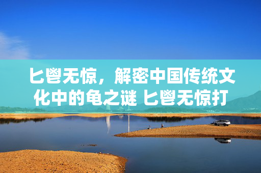 匕鬯无惊，解密中国传统文化中的龟之谜 匕鬯无惊打一动物