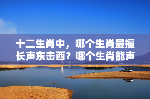 十二生肖中，哪个生肖最擅长声东击西？哪个生肖能声东击西