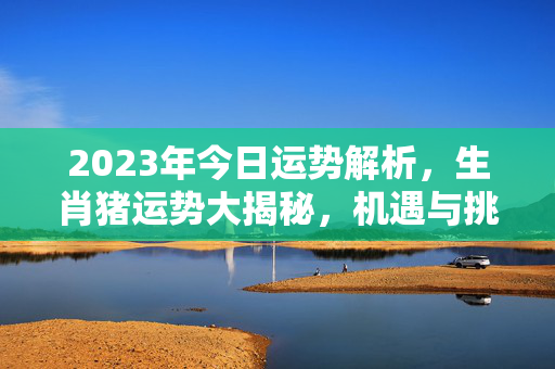 2023年今日运势解析，生肖猪运势大揭秘，机遇与挑战并存！今日运势生肖运势猪