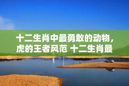 十二生肖中最勇敢的动物，虎的王者风范 十二生肖最勇敢的动物