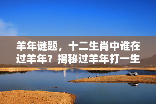 羊年谜题，十二生肖中谁在过羊年？揭秘过羊年打一生肖的文化玄机 十二生肖过羊年打一生肖