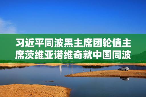习近平同波黑主席团轮值主席茨维亚诺维奇就中国同波黑建交30周年互致贺电