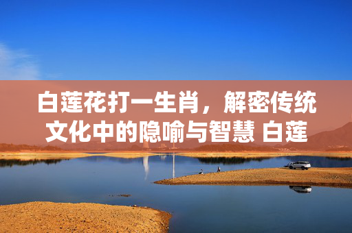 白莲花打一生肖，解密传统文化中的隐喻与智慧 白莲花打一生肖