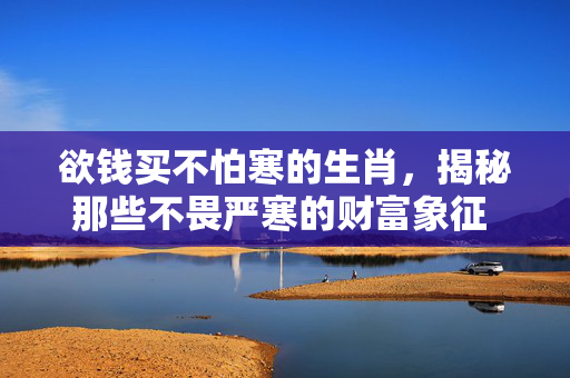 欲钱买不怕寒的生肖，揭秘那些不畏严寒的财富象征 欲钱买不怕寒的生肖
