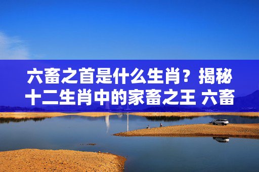 六畜之首是什么生肖？揭秘十二生肖中的家畜之王 六畜之首是什么生肖