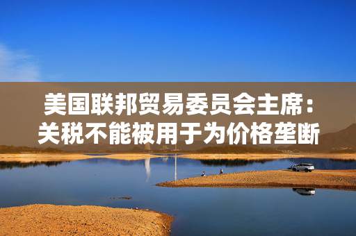 美国联邦贸易委员会主席：关税不能被用于为价格垄断开绿灯