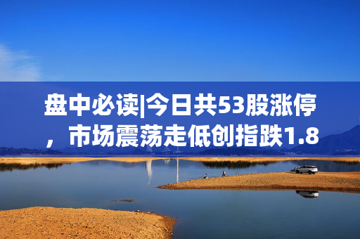 盘中必读|今日共53股涨停，市场震荡走低创指跌1.86%，兽药、物流板块逆势大涨