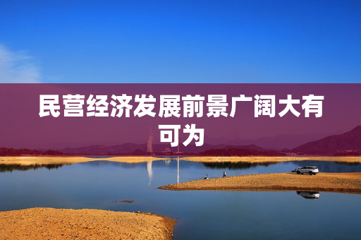 民营经济发展前景广阔大有可为