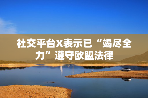 社交平台X表示已“竭尽全力”遵守欧盟法律