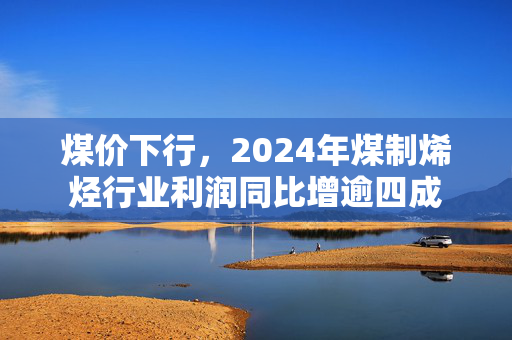 煤价下行，2024年煤制烯烃行业利润同比增逾四成