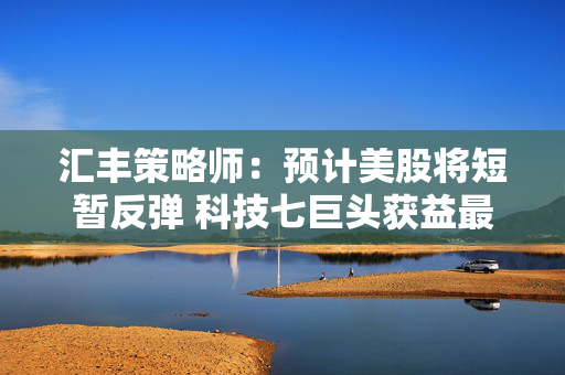 汇丰策略师：预计美股将短暂反弹 科技七巨头获益最多