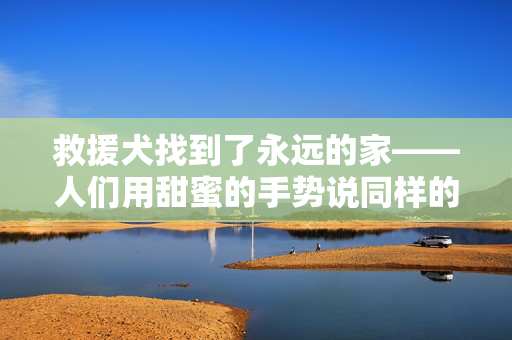 救援犬找到了永远的家——人们用甜蜜的手势说同样的话