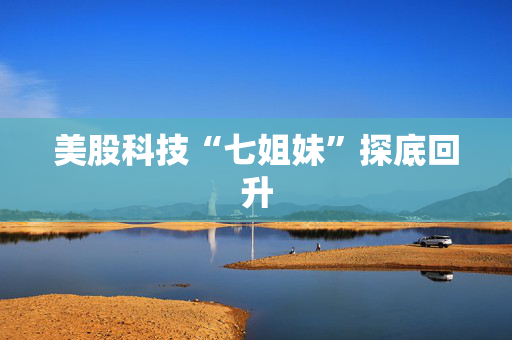 美股科技“七姐妹”探底回升