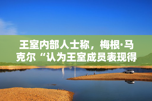 王室内部人士称，梅根·马克尔“认为王室成员表现得像婴儿”