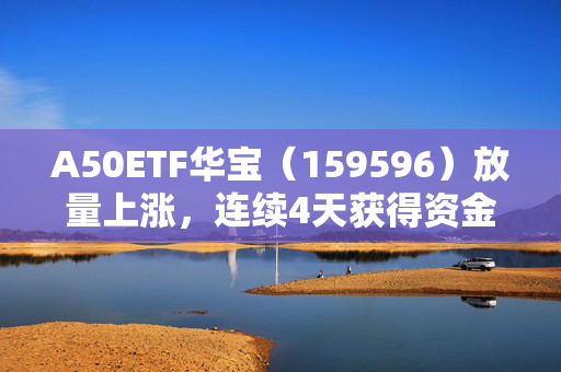 A50ETF华宝（159596）放量上涨，连续4天获得资金净申购