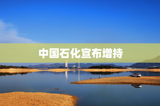 中国石化宣布增持