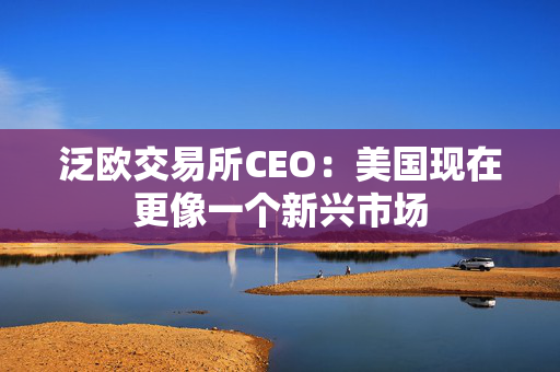 泛欧交易所CEO：美国现在更像一个新兴市场