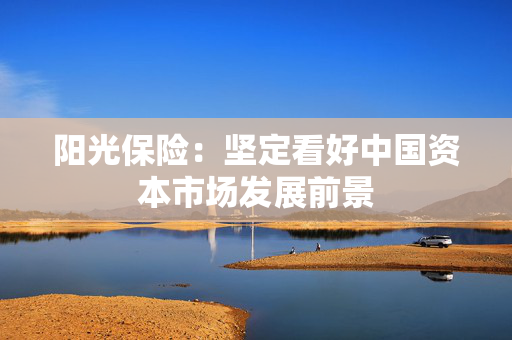阳光保险：坚定看好中国资本市场发展前景