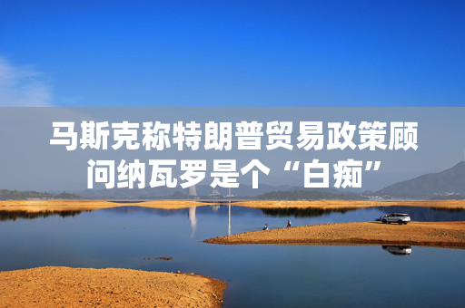 马斯克称特朗普贸易政策顾问纳瓦罗是个“白痴”