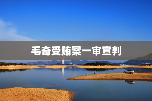 毛奇受贿案一审宣判