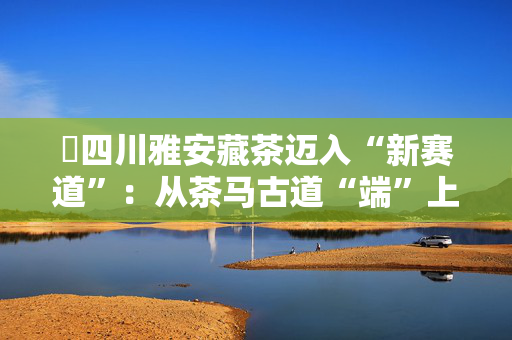 ​四川雅安藏茶迈入“新赛道”：从茶马古道“端”上世界茶桌