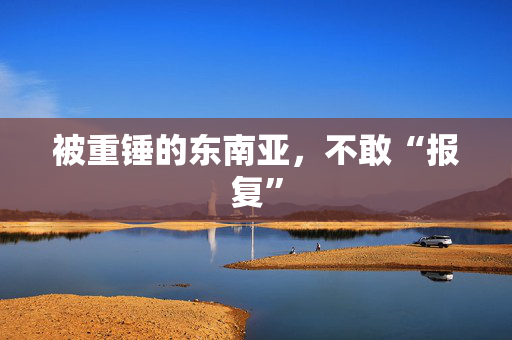 被重锤的东南亚，不敢“报复”