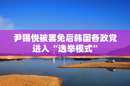 尹锡悦被罢免后韩国各政党进入“选举模式”