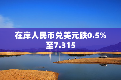 在岸人民币兑美元跌0.5%至7.315